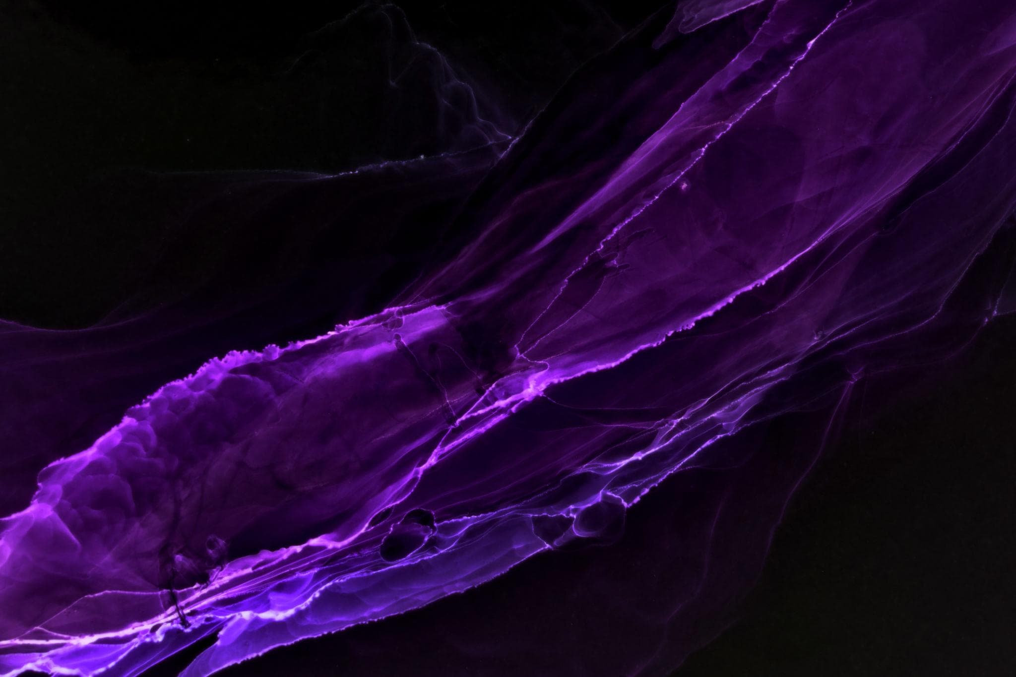 Abstract — Shyam Bhutkar